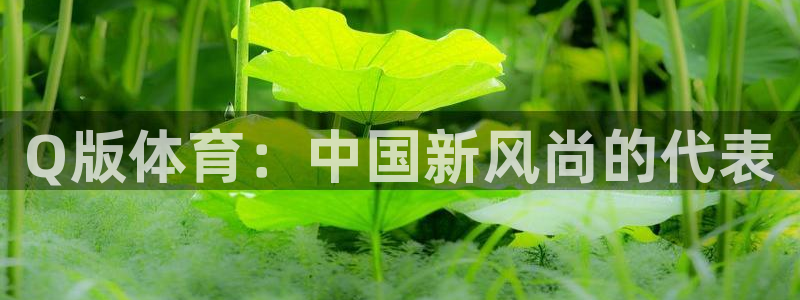 Q版体育：中国新风尚的代表