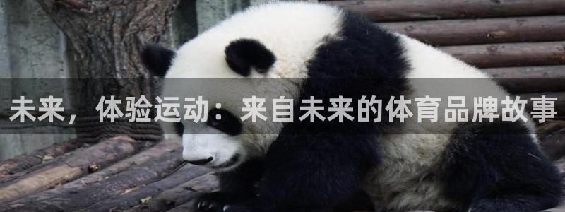 未来，体验运动：来自未来的体育品牌故事