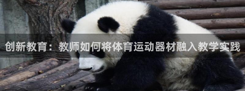 创新教育：教师如何将体育运动器材融入教学实践