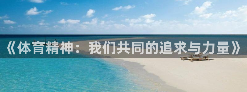 《体育精神：我们共同的追求与力量》