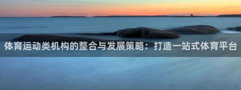 体育运动类机构的整合与发展策略：打造一站式体育平台