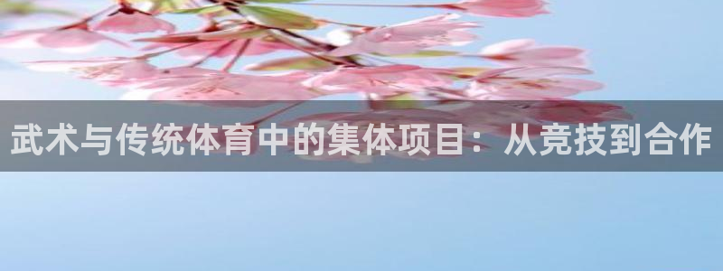 武术与传统体育中的集体项目：从竞技到合作