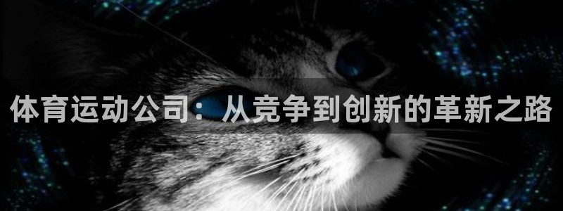 体育运动公司：从竞争到创新的革新之路